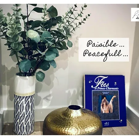 Les Anges - 6 - Place Des Heros Arras